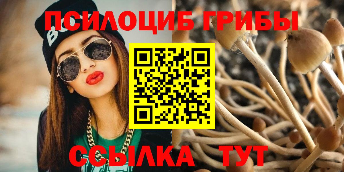 Псилоцибиновые грибы Psilocybine cubensis  Вход с VPN  Тейково 