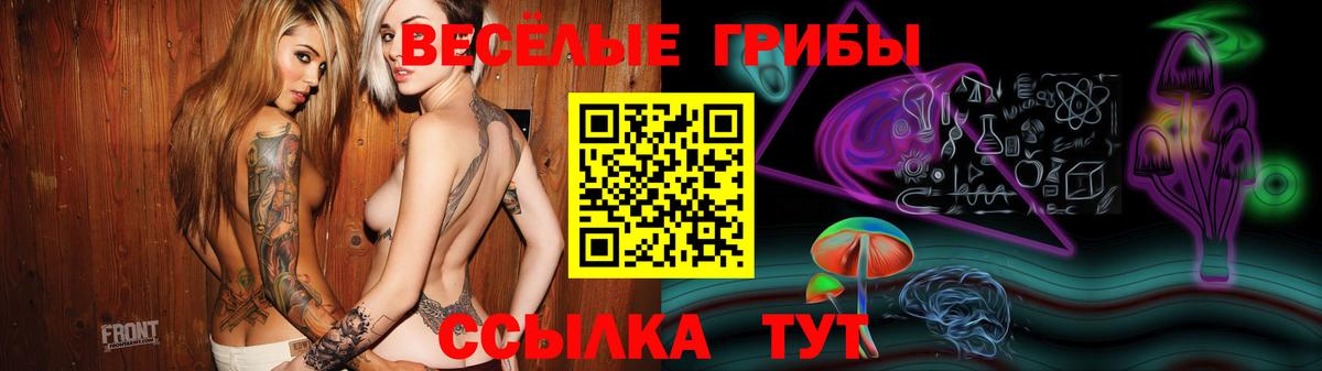 Галлюциногенные грибы Cubensis Тейково